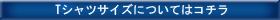 TVcTCYɂ