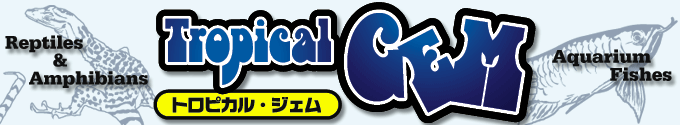 gsJEWF